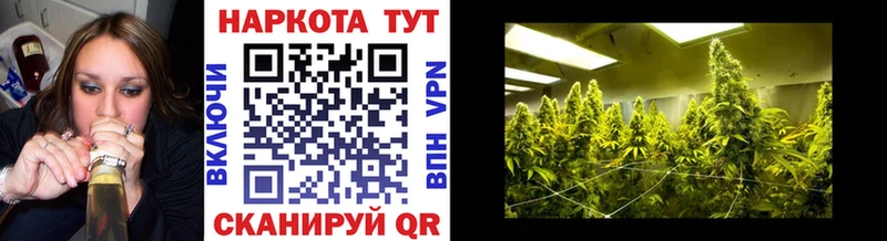 Продажа наркотиков Медынь Кокаин  БУТИРАТ  Конопля  Мефедрон 